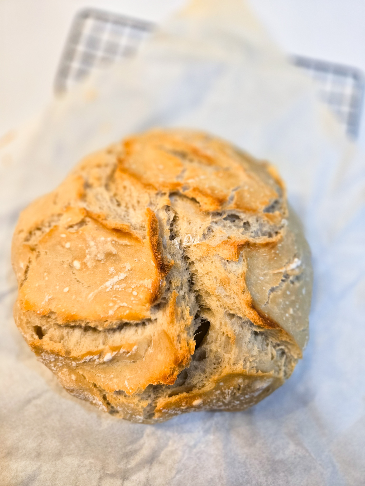 No Knead Dutch Oven Bread